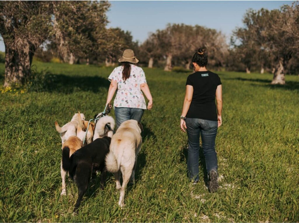 pexels aysun kahraman öktem 5788341