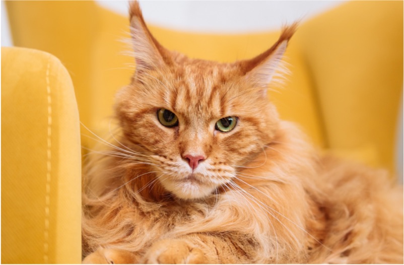 pexels thirdman 8942601